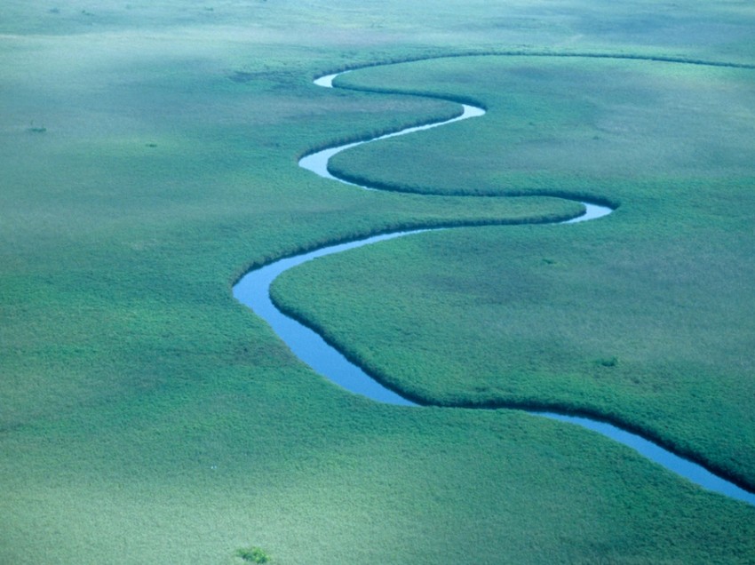 The endangered fish of the Okavango